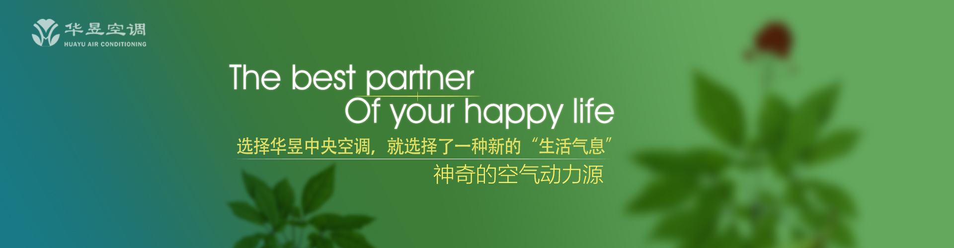 不分轻重网